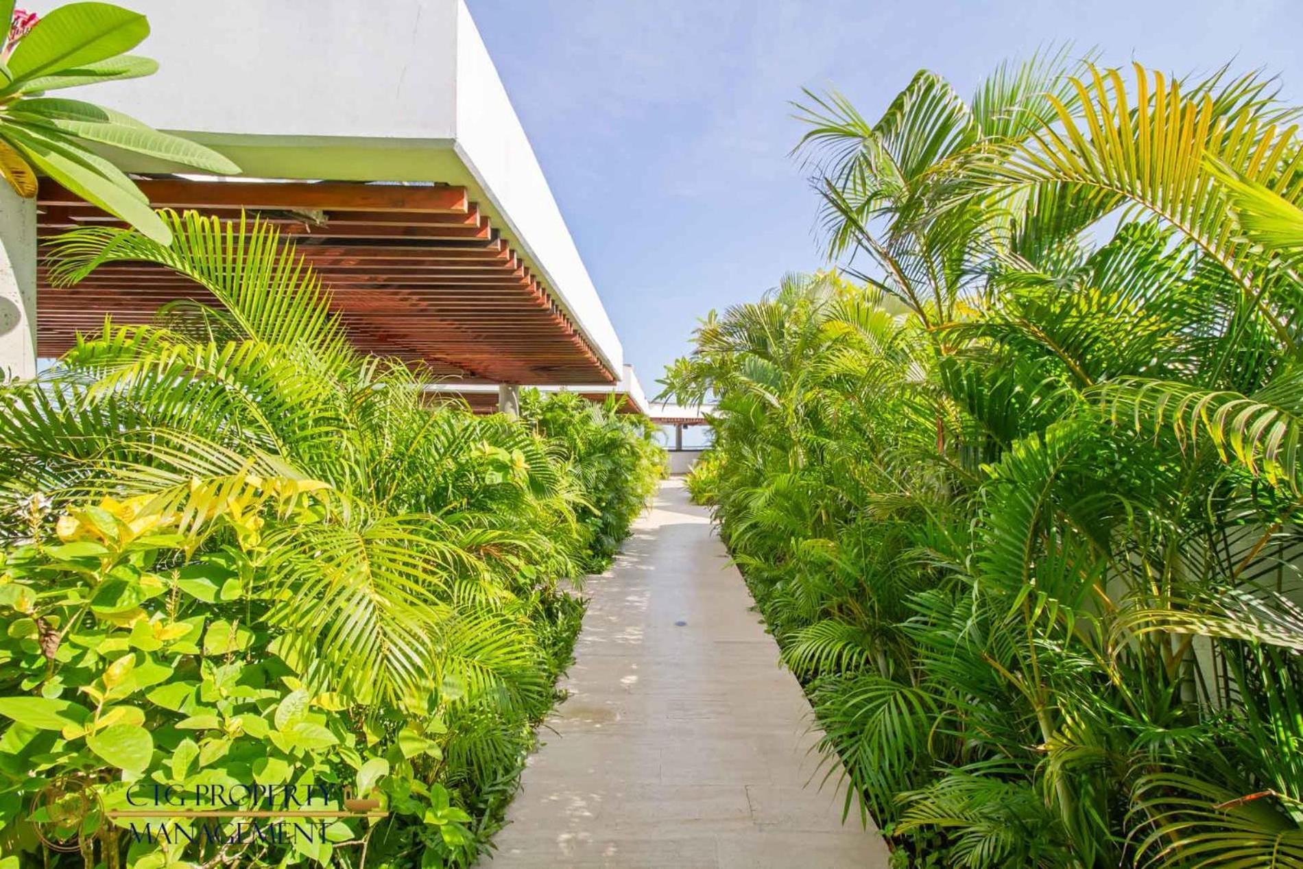 Martinique Cartagena, Beautiful 1 & 2 Bedroom Apartments Exteriör bild